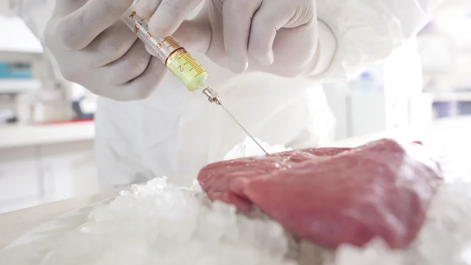 Artificial meat: for the WEF, the use of “biotech” to feed the world population is “urgent”