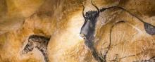 Grotte Chauvet cheval