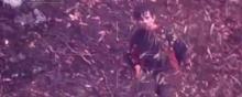 Un enfant autiste a été retrouvé dans une forêt en Australie, après 4 jours de survie.