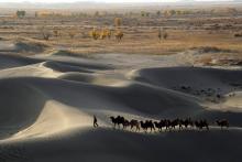 Le désert du Taklamakan en Chine.