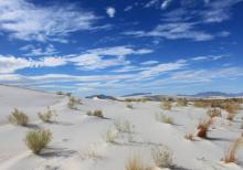 Le Parc national des White Sands  aux Etats-Unis.