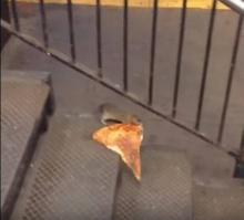 Un rat avec une part de pizza.