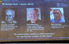 Tomas Lindahl, Paul Modrich et Aziz Sancar, lauréats du prix Nobel de chimie 2015.