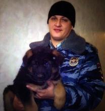 La Russie offre un chiot à la France pour compenser la mort de la chienne policière Diesel.