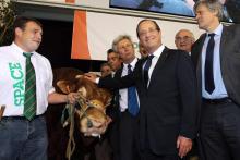 Hollande salon de l'agriculture