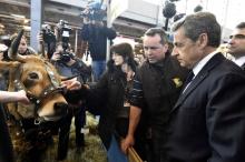 Nicolas Sarkozy au Salon de l'agriculture.