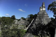 La cité maya de Tikal au Guatemala.