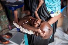 Famine nigeria MSF Borno Boko haram