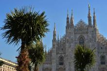 Les palmiers récemment plantés devant la cathédrale de Milan, le 16 février 2017