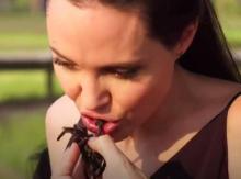 Angelina Jolie en train de manger une araignée.