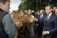 Le président français Emmanuel Macron lors d'une visite à Verneuil-sur-Vienne (Haute-Vienne), le 9 j