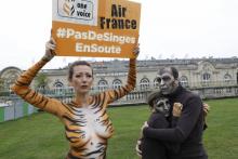 Des militants de l'ONG One Voice manifestent devant l'agence d'Air France sur l'esplanade des Invali