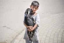 Un enfant et son chien dans le quartier rom à Mitrovica, au Kosovo, le 7 juillet 2017
