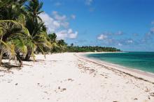 La plage de la Feuilllère sur l'île Marie-Galante dans les Antilles.