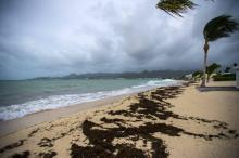 La plage Marigot de la Baie-Nettlé à Saint-Martin aux Antilles (Caraïbes), est balayée par des vents