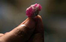 Un rubis extrait dans les montagne du Cachemire pakistanais présenté lors d'une vente aux enchères à