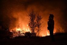 Un pompier observe les flammes de l'incendie près de Louzan, le 16 octobre 2017 au Portugal