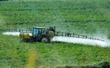 Le renouvellement de la licence dans l'UE du glyphosate, l'un des herbicides les plus utilisés dans 