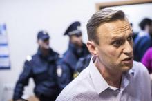 Photo d'archives fournie par le "This Is Navalny Project" du dirigeant d'opposition russe Alexei Nav