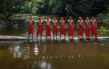 Des membres de la tribu amazonienne des Waiapi, sur la rivière Tucunapi, au sein d'une zone protégée