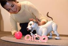 Présentation du nouveau chien robot Aibo par Sony à Tokyo, le 1er novembre 2017