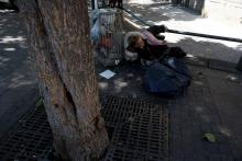 Une femme sans abri allongée sur le bitume à l'ombre d'un arbre, le 19 juillet 2016 à Paris