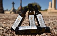 Des bouteille d'huile d'olive des oliviers poussant au milieu d'un cimetière à Adélaïde, en Australi