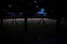 Les tombes de 3.500 soldats américains illuminées à Romagne-sous-Montfaucon (Meuse), le 11 novembre 