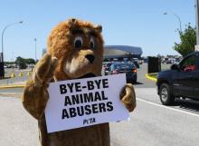 Un américain milite pour le traitement éthique des animaux et contre le cirque, le 21 mai 2017 à Uni
