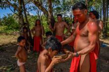 Un indien Waiapi donne à boire à un enfant du caxiri, une boisson fermentée artisanale, le 12 octobr