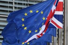 La Commission européenne va examiner une exemption aux règles britanniques de lutte contre l'invasio