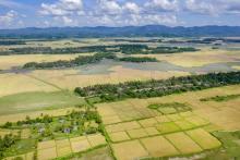 Vue aérienne le 12 novembre 2017 de rizières à l'abandon près de Maungdaw en Birmanie, après le dépa
