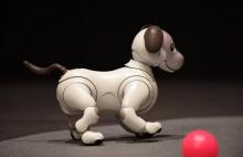 Le nouveau chien robot Aibo présenté par Sony à Tokyo le 1er novembre 2017