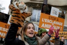 Manifestation contre l'exploitation d'animaux sauvages dans les cirques, à Paris le 2 décembre 2017