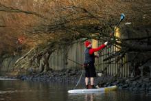 James Roorda debout sur son paddle-board récupère des déchets en plastique accrochés dans les branches des arbres, le 16 janvier 2018 sur les rives de la Tamise, à Londres