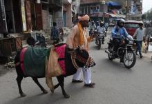 Un sadhu (ascète hindou) et sa vache dans une rue de New Delhi le 2 août 2017