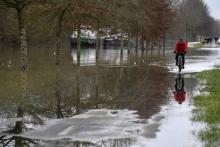 Un homme fait du vélo sur une route inondée le 29 janvier 2018 le long des rives inondées de la Saône entre Tournus et Macon