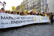 L'actrice Julie Gayet 5e d) et le maire du 15e arrondissement de Paris Philippe Goujon (8e d) participent à une marche mondiale pour l'endométriose, le 25 mars 2017 à Paris