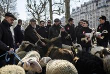 Des éleveurs lors d'une transhumance organisée en plein Paris, le 23 février 2018, à la veille de l'ouvertrure du salon de l'agriculture