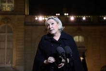 La présidente du Front national Marine Le Pen à Paris, le 21 novembre 2017