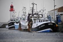 Une photo prise le 8 février 2016 montre des chalutiers amarrés dans le port de pêche de La Cotinière à Saint-Pierre d'Oléron