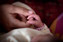 Les résultats de l'étude laissent penser que les réponses des mères aux pleurs de leur bébé sont bie