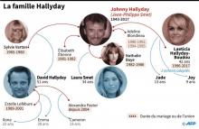 Arbre généalogique du chanteur Johnny Hallyday, né Jean-Philippe Smet, dont la succession est contestée par ses enfants