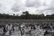 La région du Delta nigérian, polluée par les fuites de pétrole, le 19 avril 2017