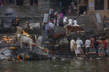 Des hindous lors d'une crémation sur les berges du Gange, le 29 octobre 2017 à Varanasi, en Inde
