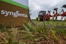Logo du fabricant suisse de semences, pesticides et herbicides Syngenta à Geispitzen, le 27 juin 201
