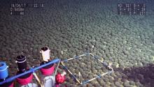 Zone sous-marine riche en nodules de manganèse (5.500 mètres de profondeur) au large de l'île de Minamitorishima (zone économique exclusive), à 1.850 km au sud de Tokyo, le 26 août 2016