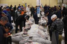 Le célèbre marché au poisson de Tsukiji doit fermer à l'automne pour laisser la place à des infrastructures de transports et de communication dans l'optique des jeux Olympiques de Tokyo en 2020