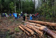 Des militants s'opposent à l'abattage d'arbres dans la forêt de Bialowieza, le 13 août 2017 en Pologne