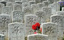 Des tombes de soldats portugais au cimetière de Richebourg, photographiées en juin 2014
